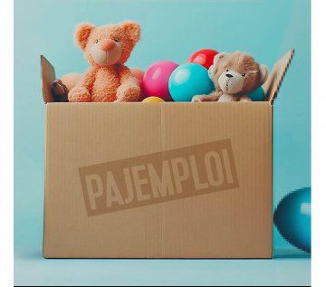 PAJEMPLOI : UNE DÉCLARATION PAR ENFANT